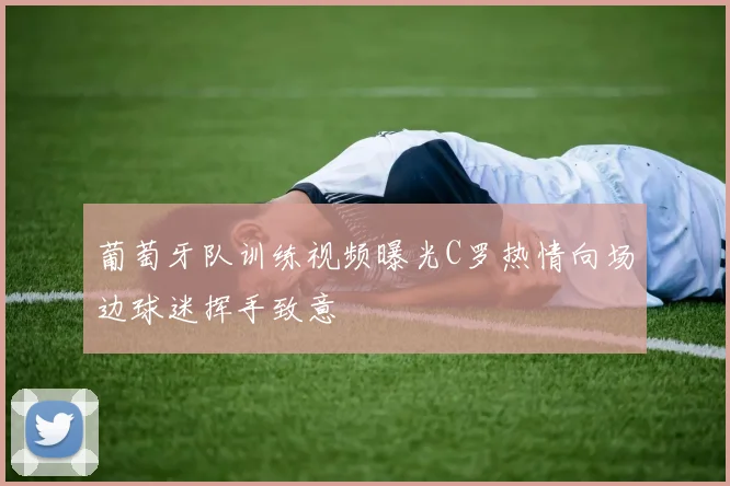 葡萄牙队训练视频曝光C罗热情向场边球迷挥手致意